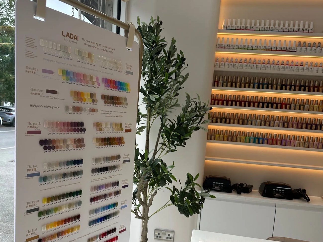 Treatment area with the colour chart, an olive tree and the polish wall behind